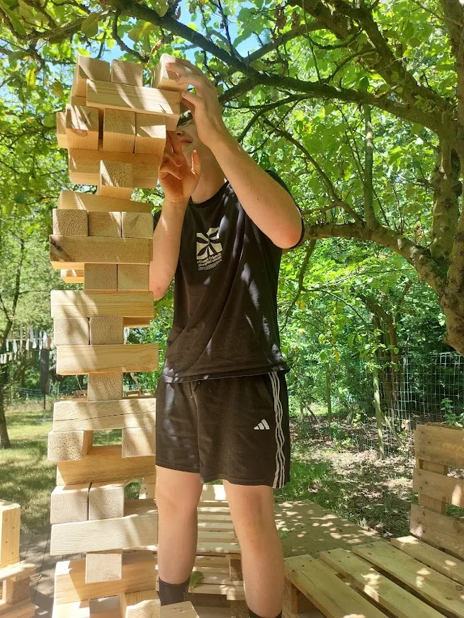 Reuzenjenga.webp